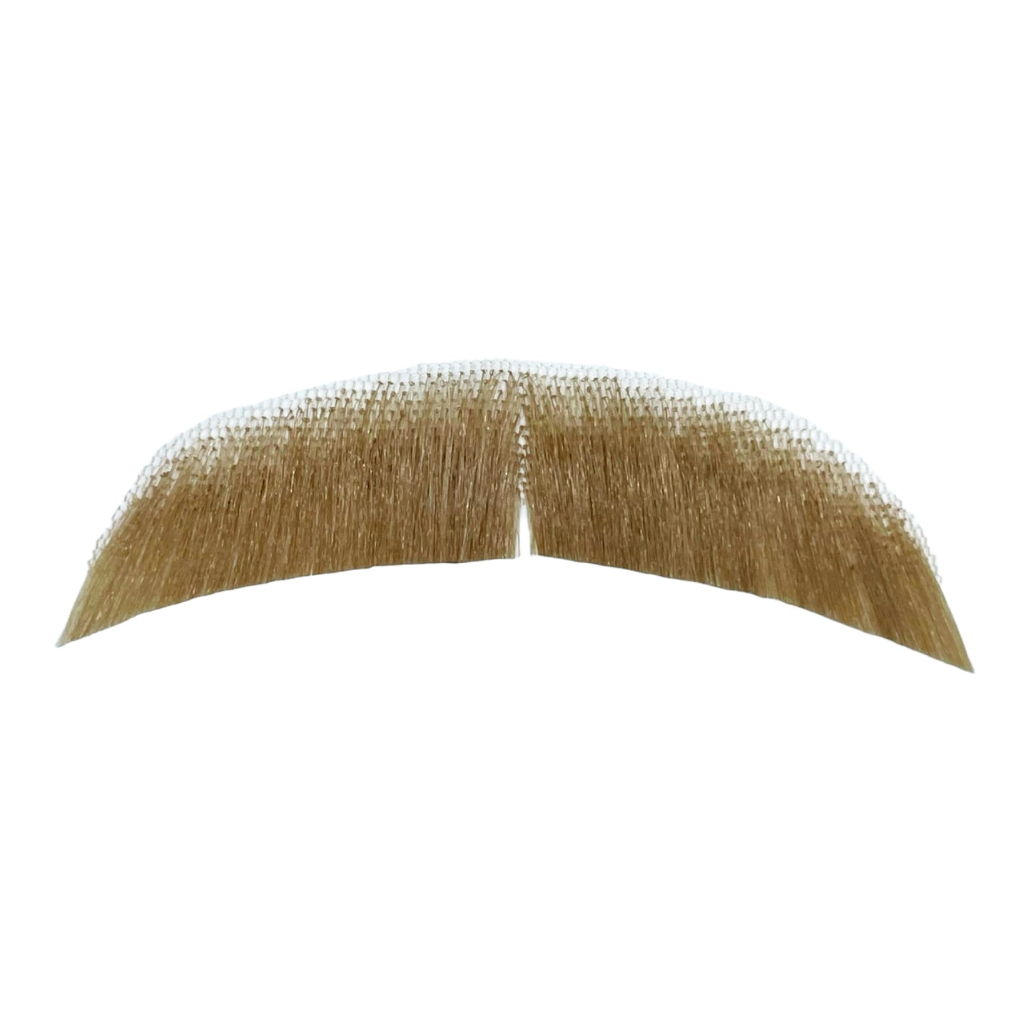 2015 Basic Character Moustache