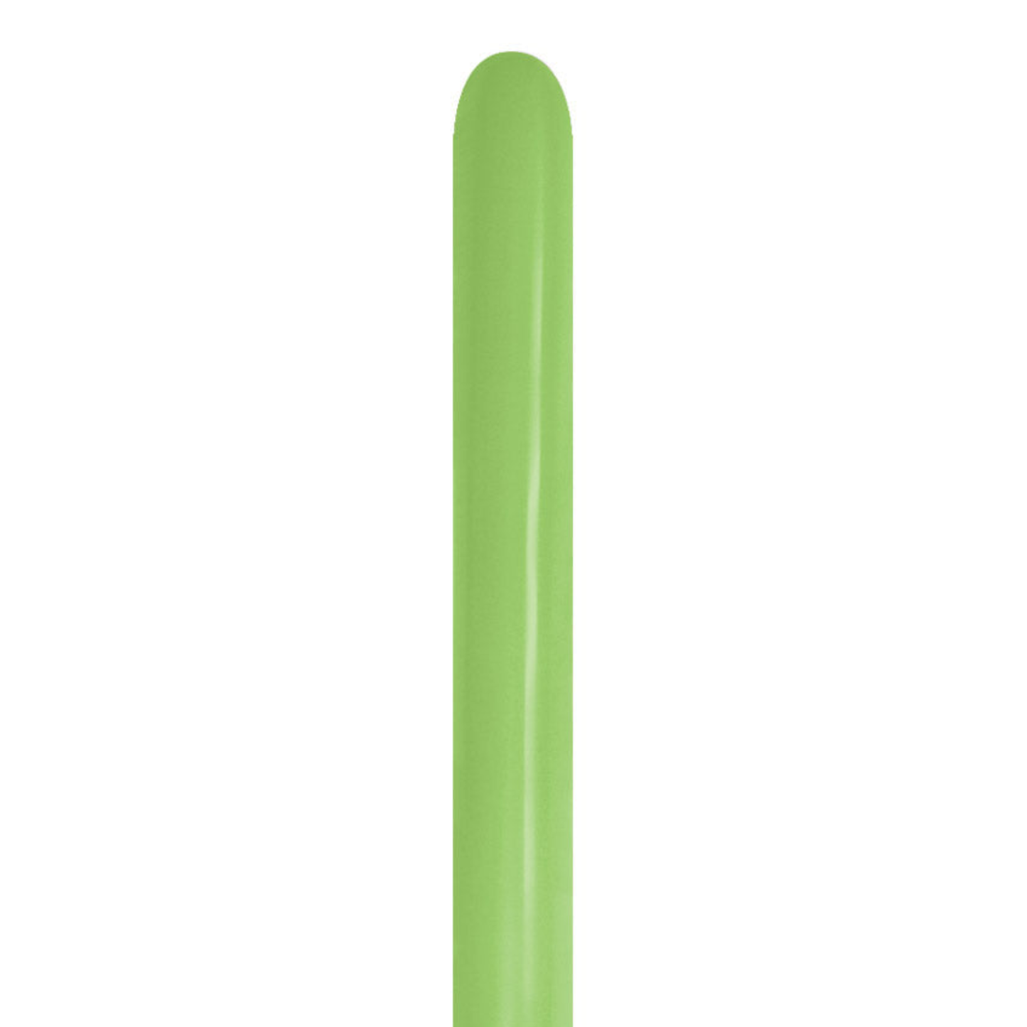 Sempertex 260Q Lime Green Balloons