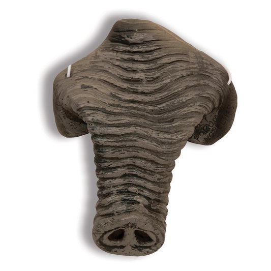 Elephant Nose