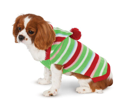 Pet Candy Striped Knit Sweater