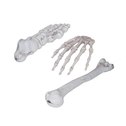 Assorted Bones
