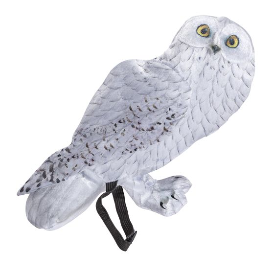 Hedwig