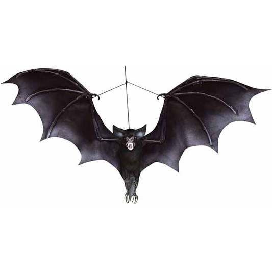 Hanging Bat