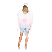 Angel Ombre Wings & Halo