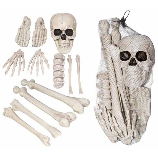 Life Size Bones