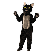 Black Cat