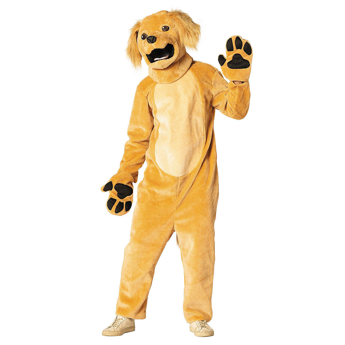 Brown Dog