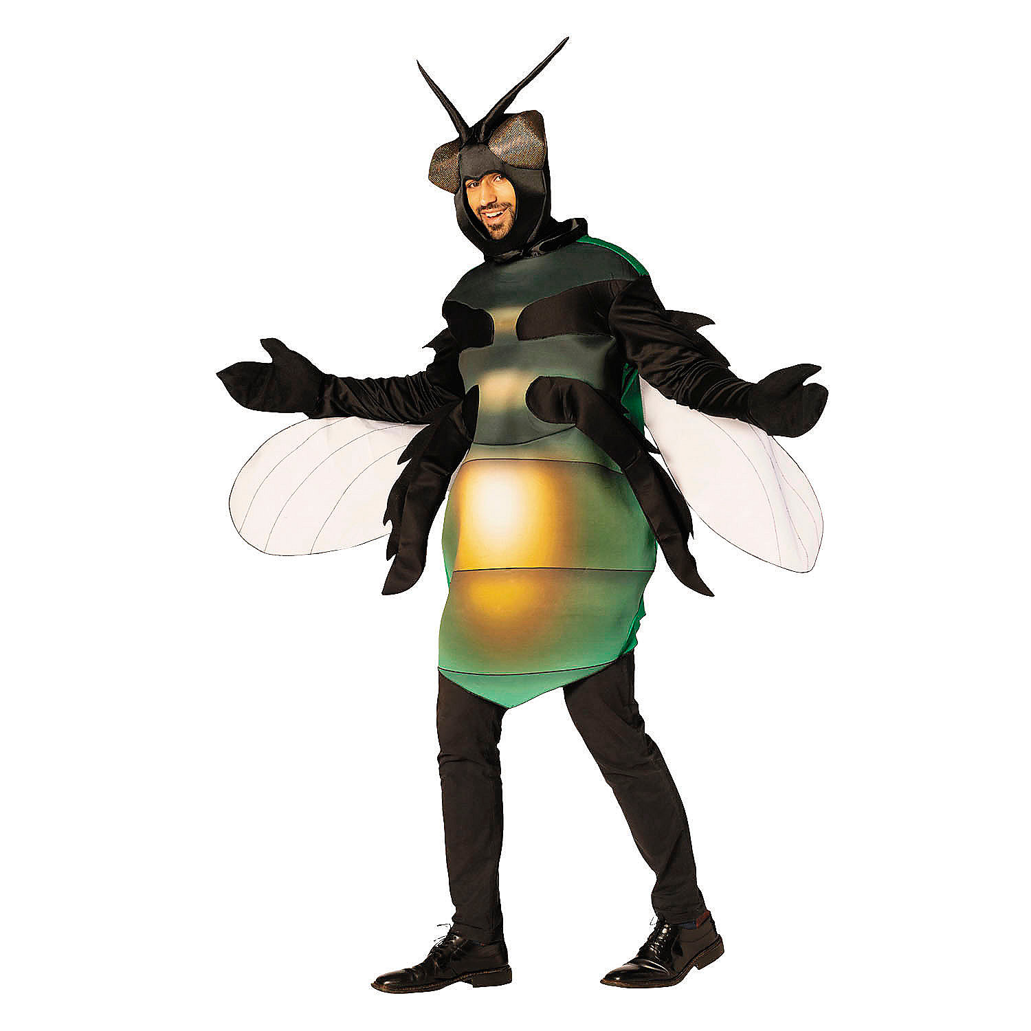 Fly