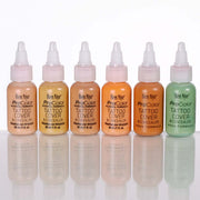 BN Tattoo Cover/Concealer Airbrush Kit