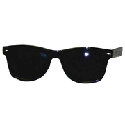 Blues Brothers Glasses