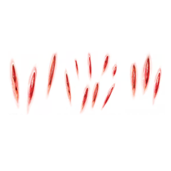 Tinsley Claw Marks Tattoo