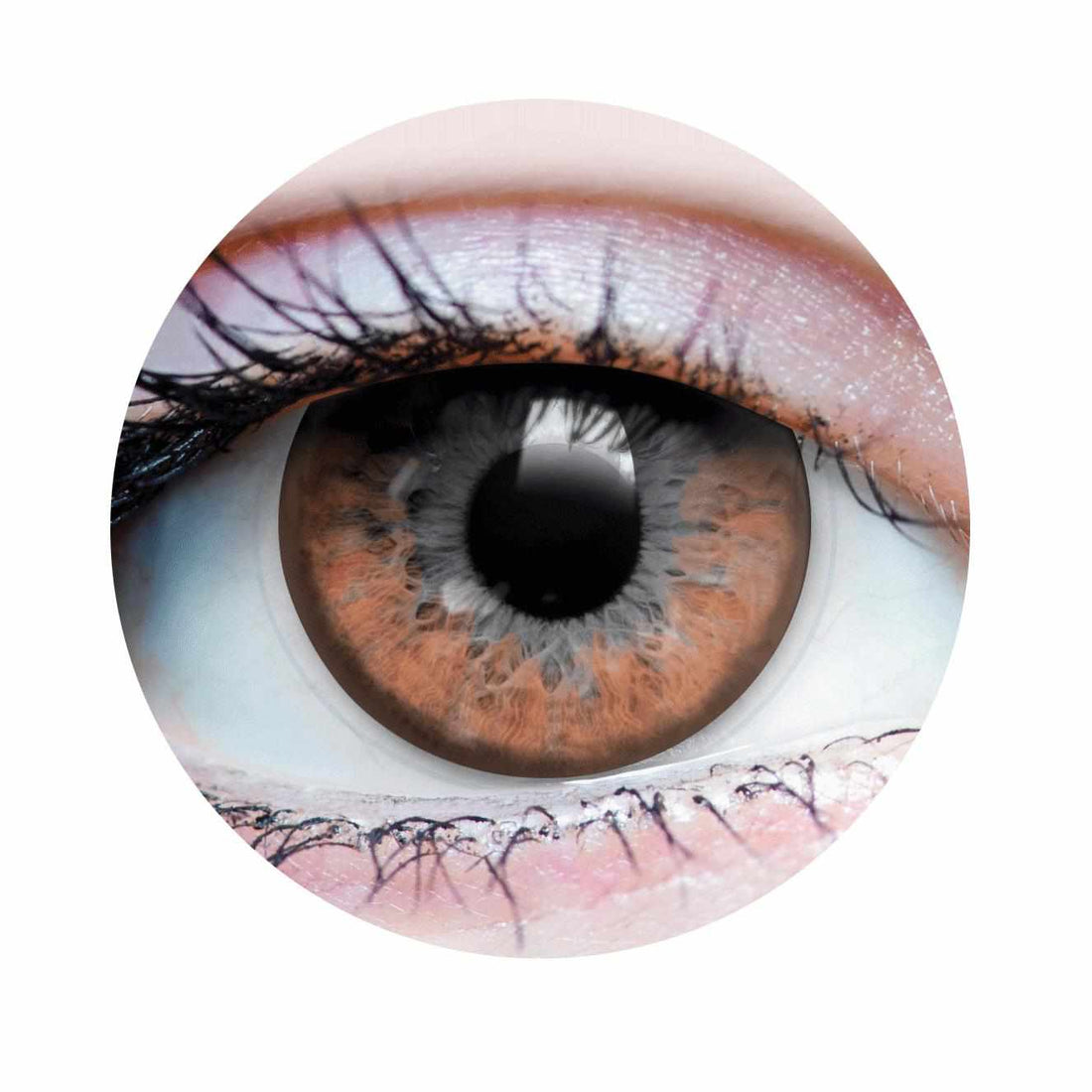 Twilight Hazel Contacts