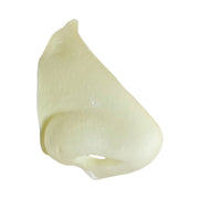 Woochie Normal Nose Prosthetic