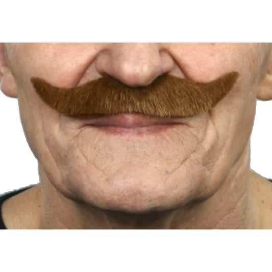 Auburn Moustache