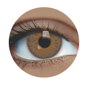 Choco Charm Contacts