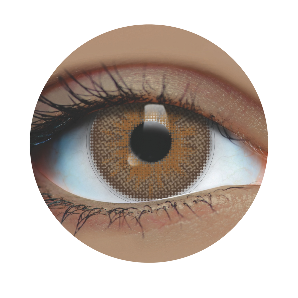 Choco Charm Contacts