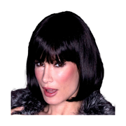 Cindy Onyx Wig