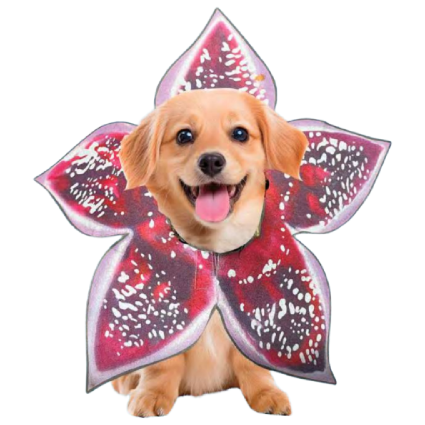 Stranger Things Demodog Costume