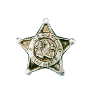 Deputy Sheriff Badges 12 Pack