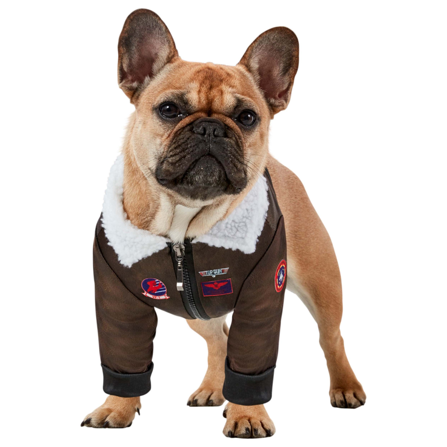 Pet Top Gun Costume