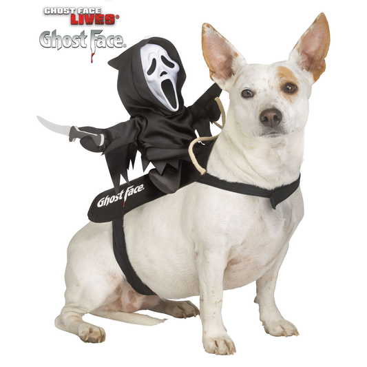 Pet Ghost Face Rider