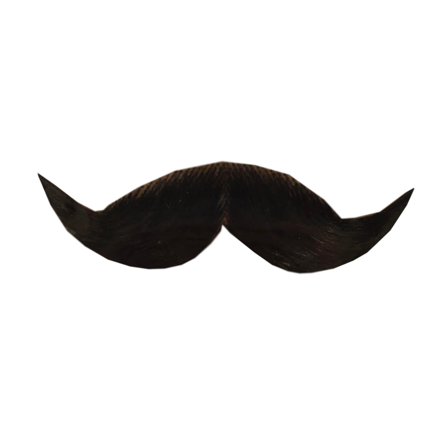 Human Hair Debonair Moustache Black