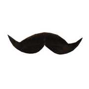 Human Hair Debonair Moustache Black