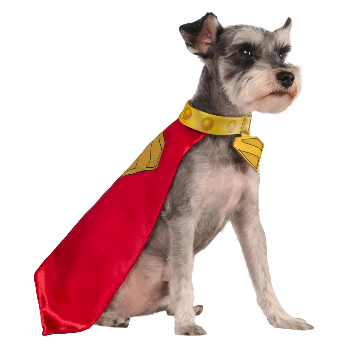 Pet Krypto Cape and Collar
