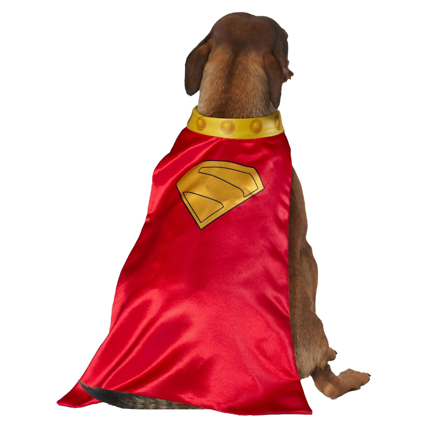 Pet Krypto Cape and Collar