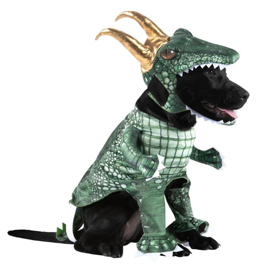 Pet Alligator Loki