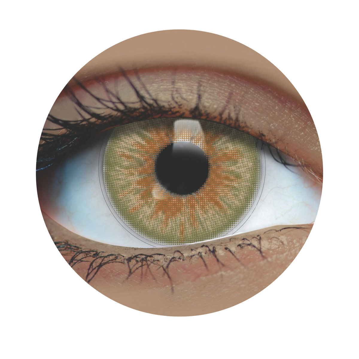 Olive Contact Lenses