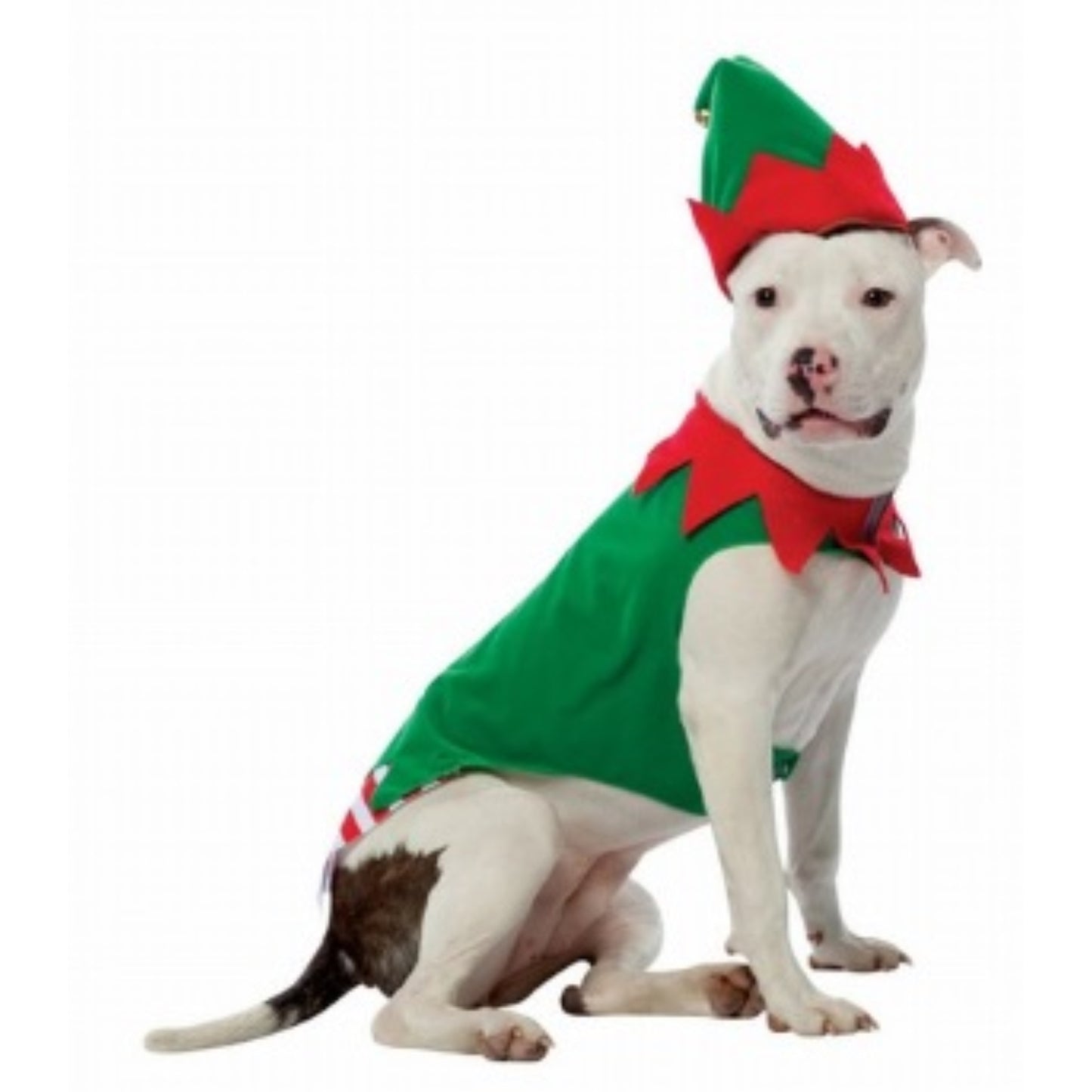 Dog Elf Costume