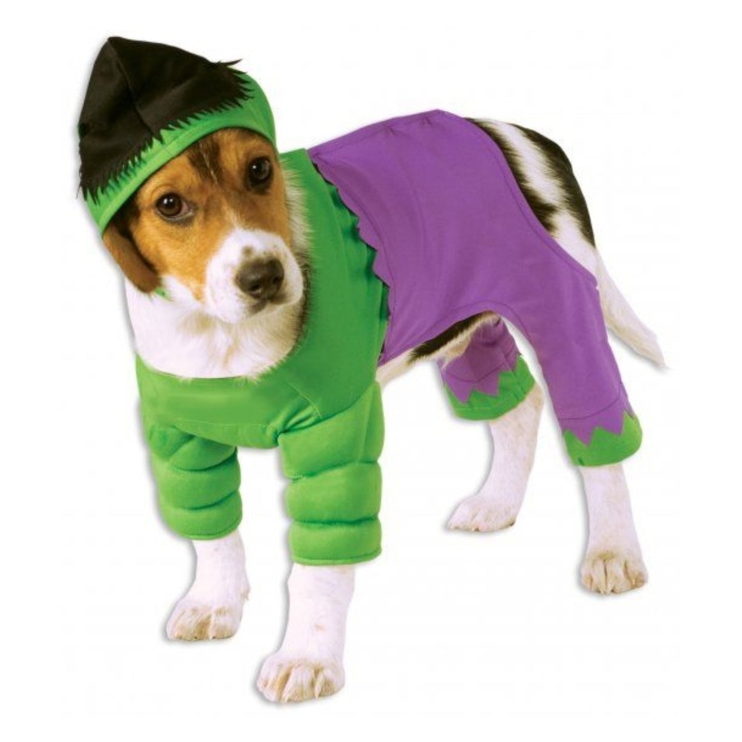 Dog Hulk Costume