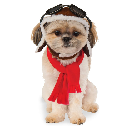 Pet Aviator Kit