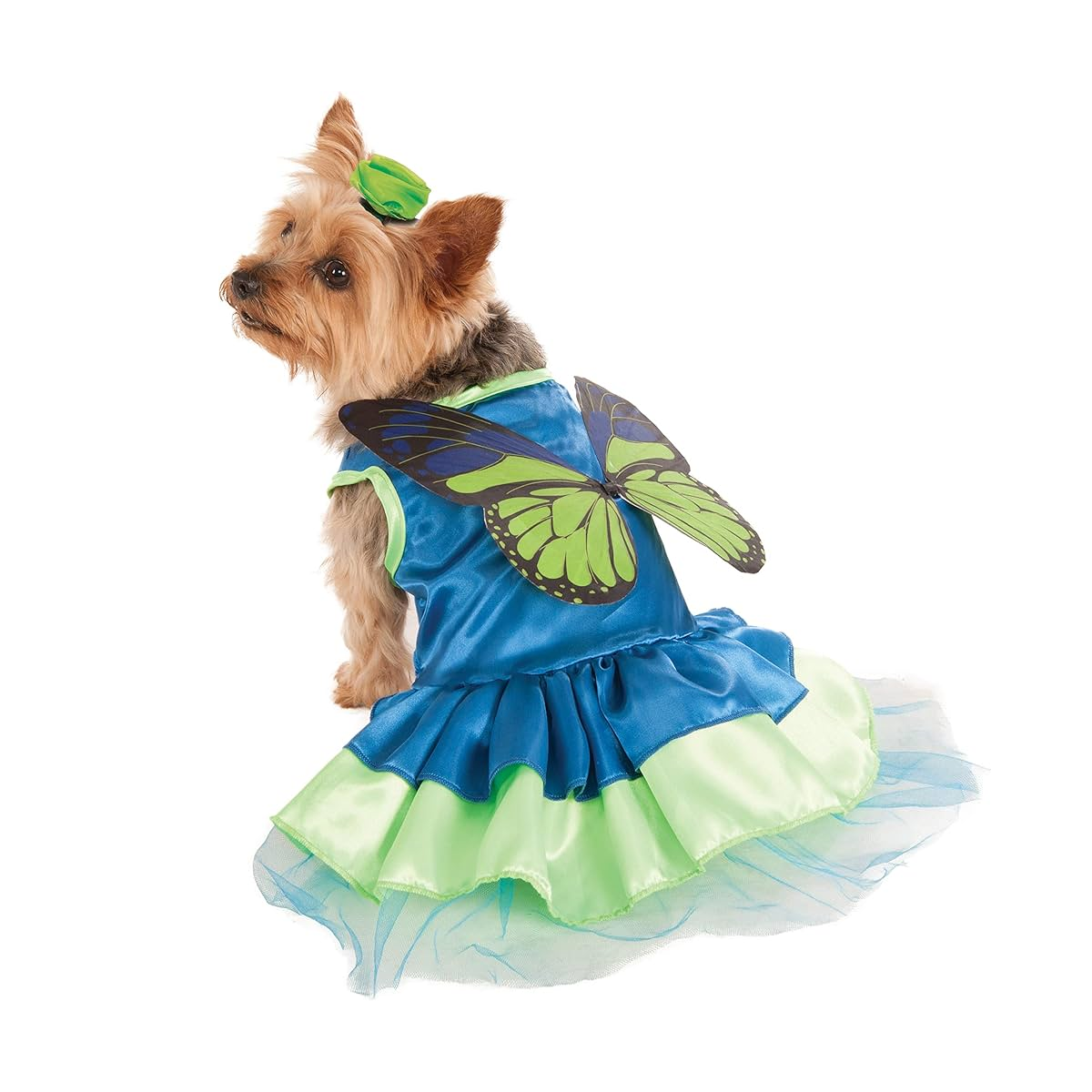 Pet Fairy Costume