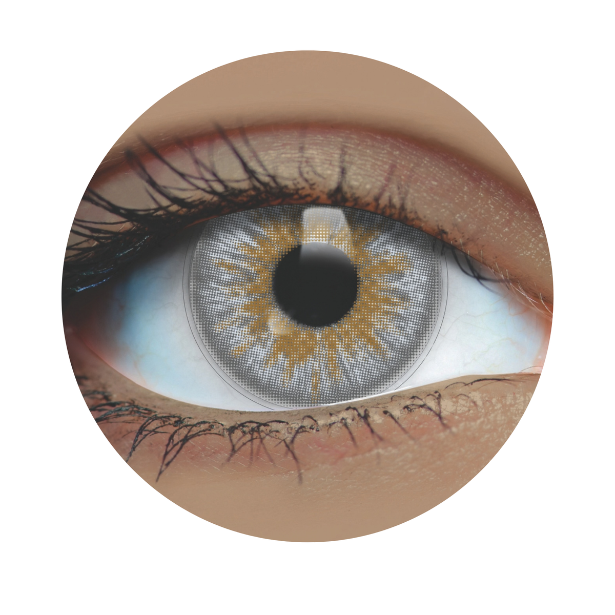 Silken Grey Contact Lenses