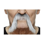 062 Grey Moustache