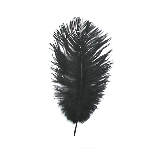 Small Black Feather Plume