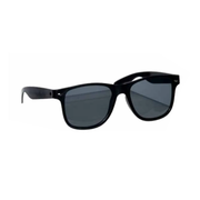 Blues Brothers Glasses