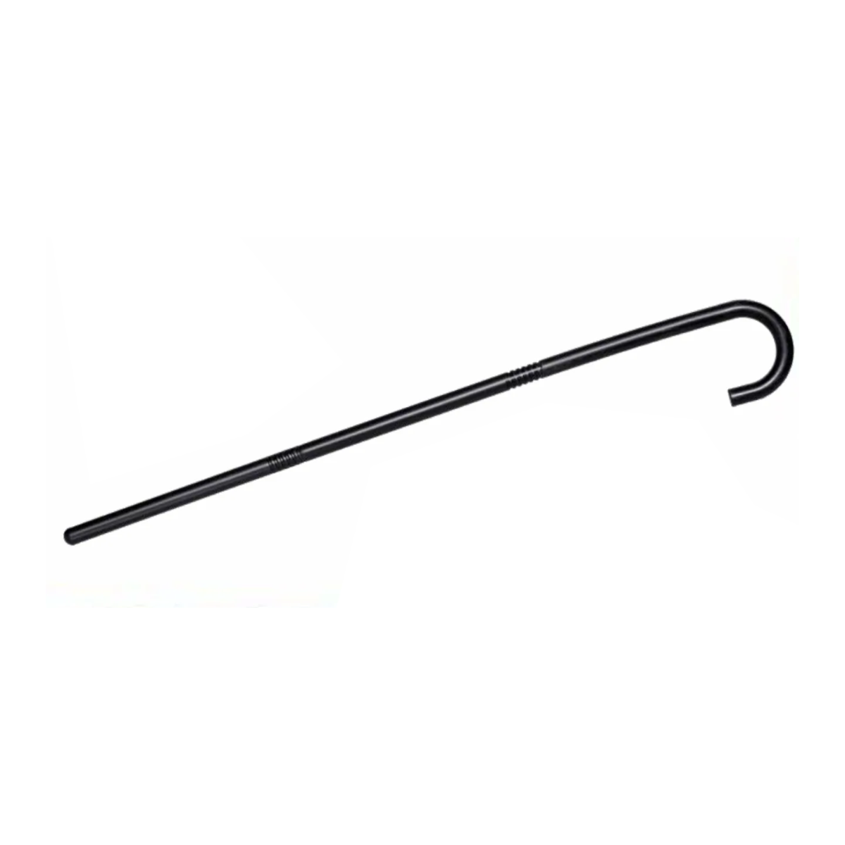 Collapsible Cane