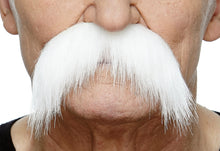 Load image into Gallery viewer, 078 Moustache
