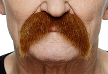 Load image into Gallery viewer, 078 Moustache
