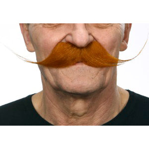 012 Moustache
