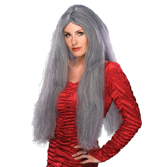 Deluxe Long Grey Witch Wig