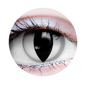 Venom Contact Lenses