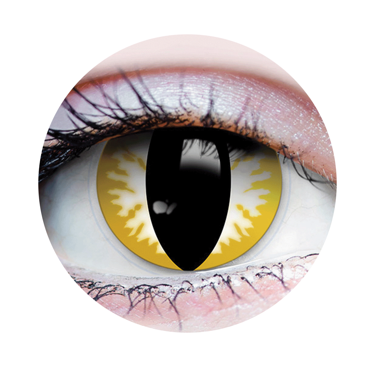 Thriller Contact Lenses