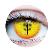 Jurassic 1 Contact Lenses