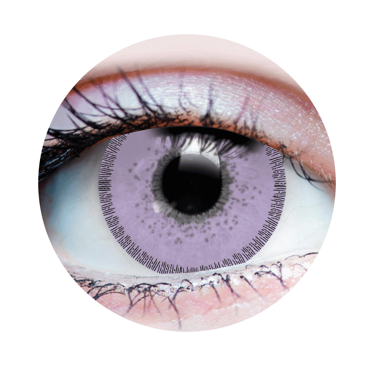 Charm Lilac Contact Lenses