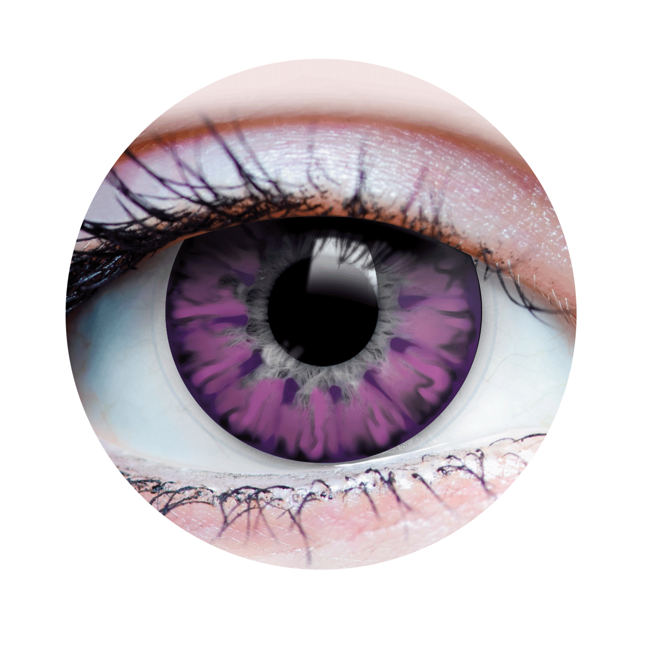 Enchanted Lilac Contact Lenses