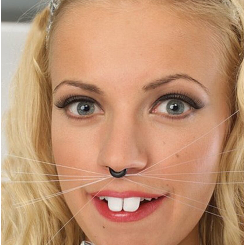 Animal Whiskers